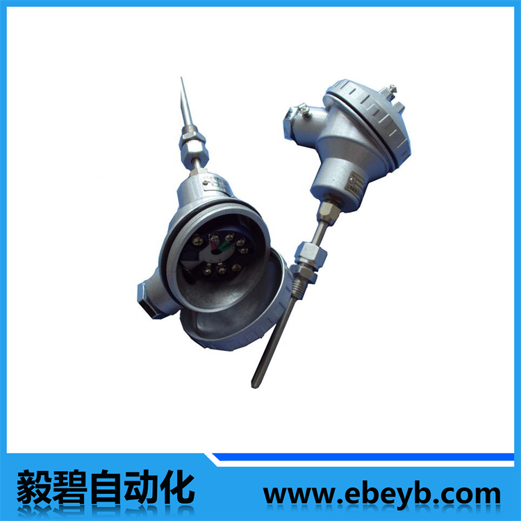 一體化熱電阻（帶溫度變（biàn）送器）