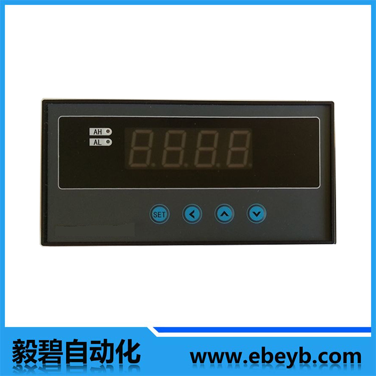 數字巡回檢測報警儀