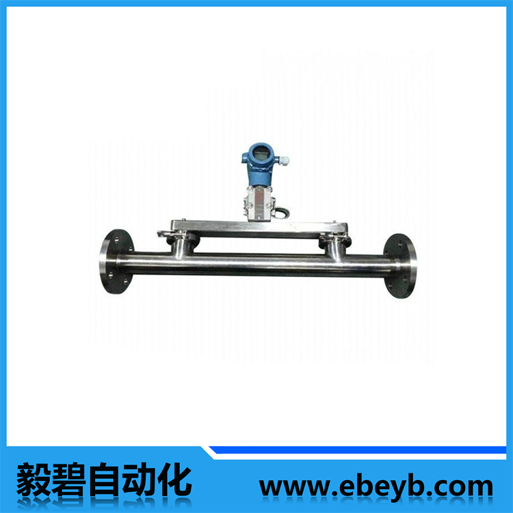 管道式在線密度（dù）計